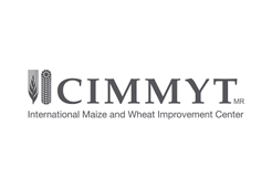 International Maize and Wheat Improvement Center 