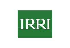 International Rice Research Institute 