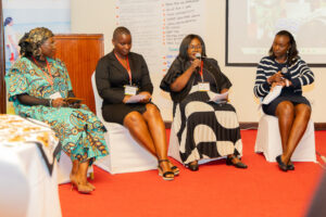 SHEAF Fellows speaking during the fireside chat